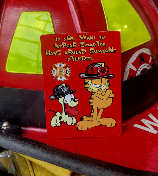 Want to Appear Smarter parody helmet card